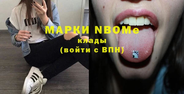 гашик Няндома