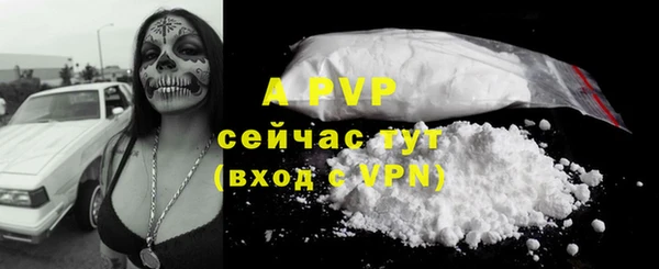 дживик Нязепетровск
