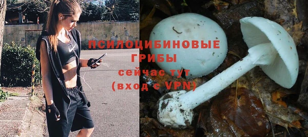 СК Осинники