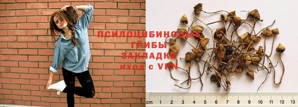 мет Абдулино